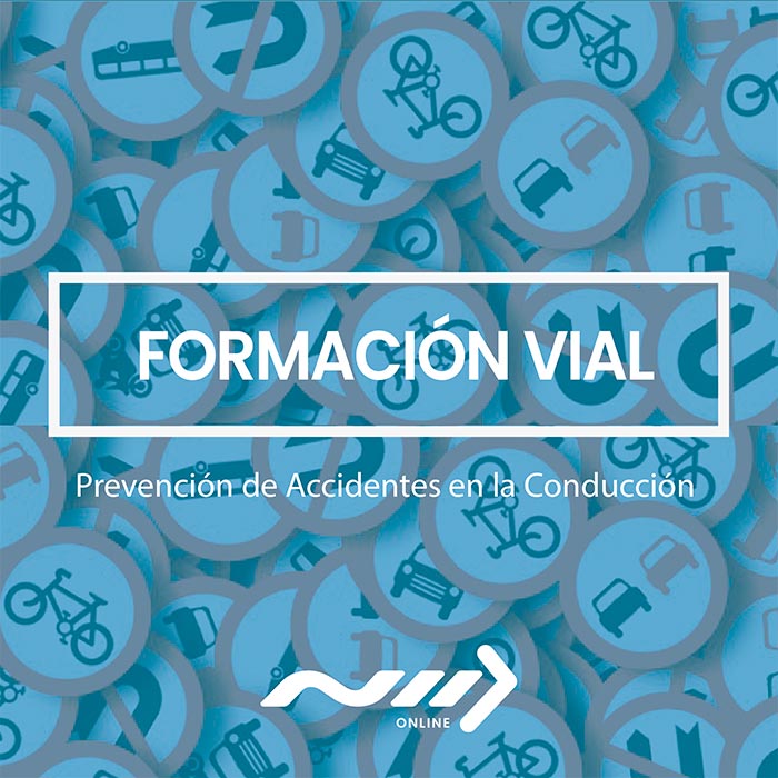 Curso Prevención de Accidentes en la Conducción N II Online