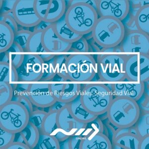 Prevención de Riesgos Viales. Seguridad Vial