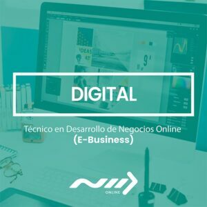 Técnico en Desarrollo de Negocios Online (E-Business)