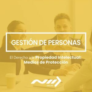 El-Derecho a la Propiedad Intelectual Medios de Proteccion